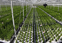 IUNU Secures $20M Series B Extension: How Its AI “LUNA” Is Reshaping Greenhouse Farming