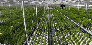 IUNU Secures $20M Series B Extension: How Its AI “LUNA” Is Reshaping Greenhouse Farming